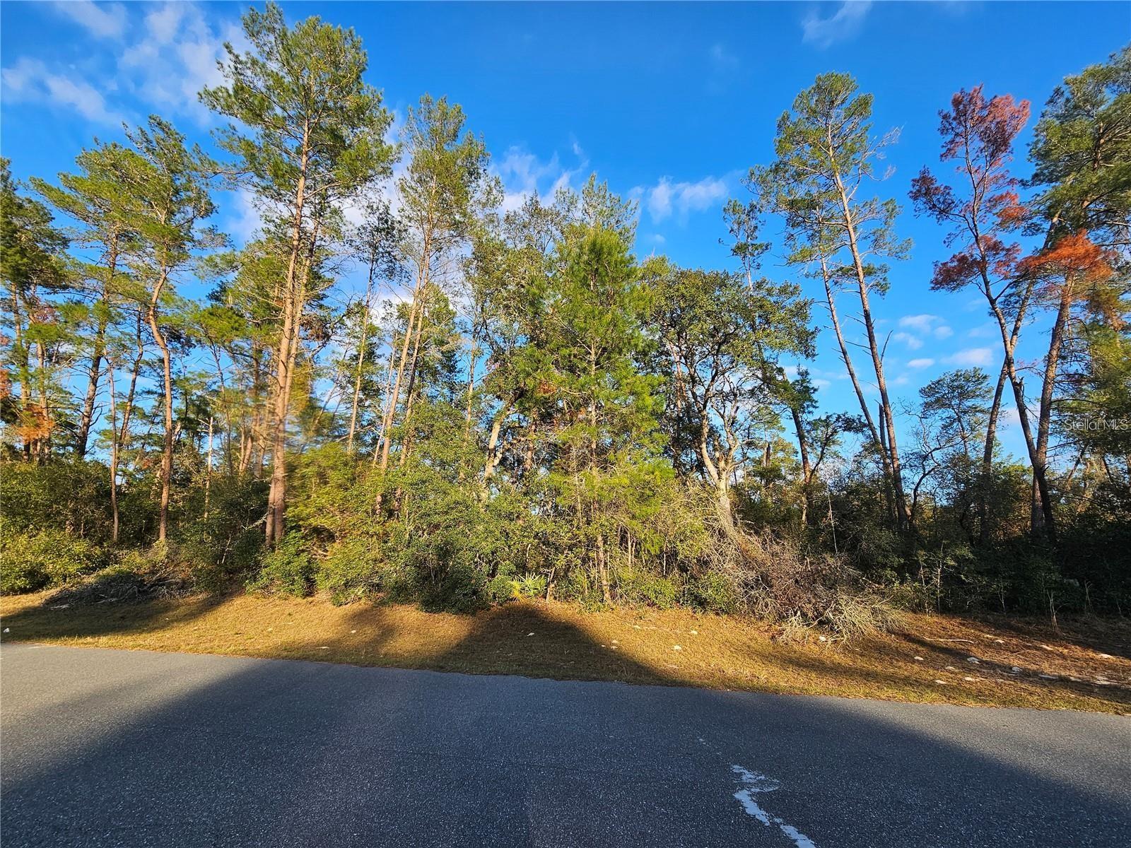 Photo of 0 SW 33RD TERRACE OCALA FL 34473