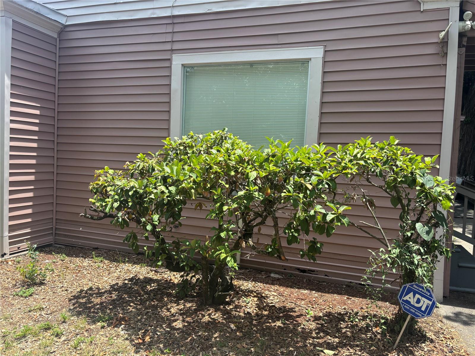 Photo of 807 E OSBORNE AVENUE TAMPA FL 33603