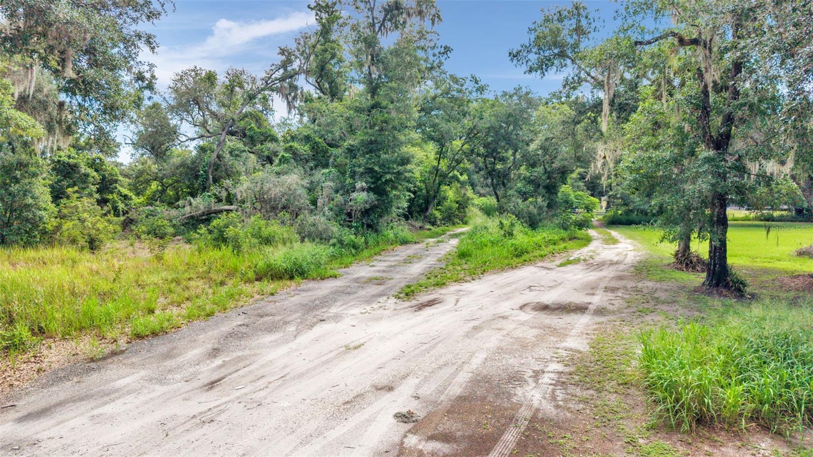 Photo of SYDNEY WASHER ROAD DOVER FL 33527