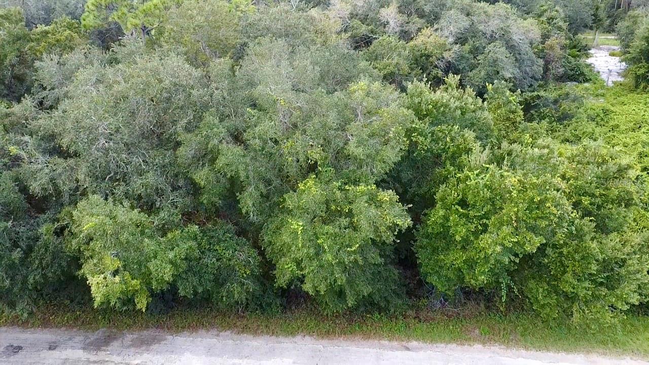 Photo of 1030 REDBIRD STREET LAKE PLACID FL 33852