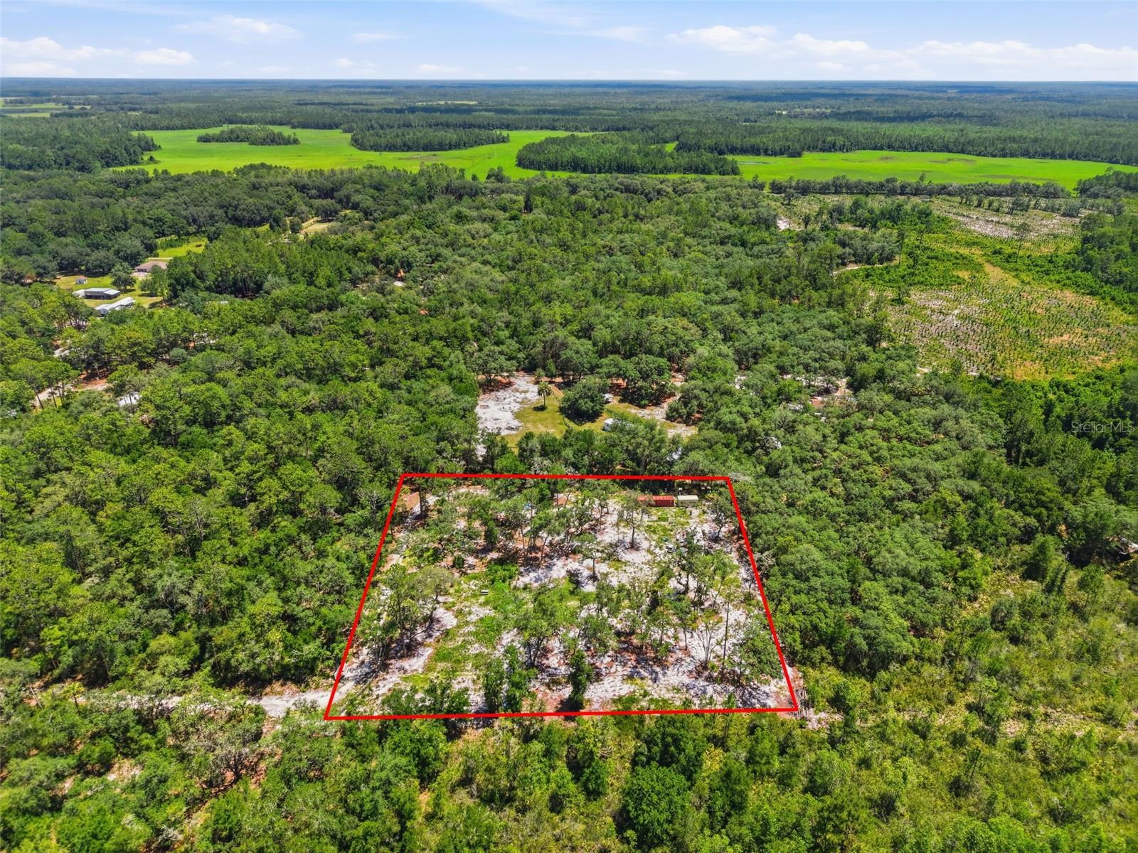 Photo of 6900 NE 195TH STREET CITRA FL 32113