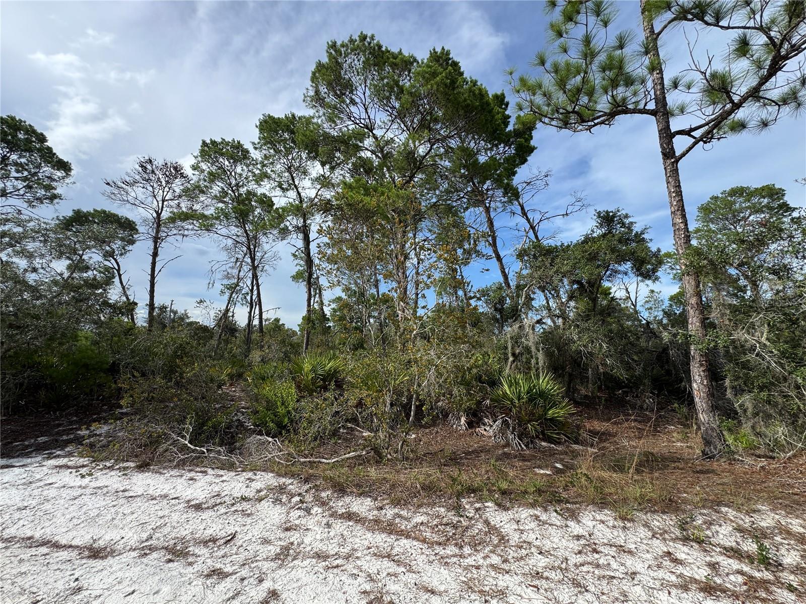 Photo of 2117 GARDENIA TERRACE SEBRING FL 33875