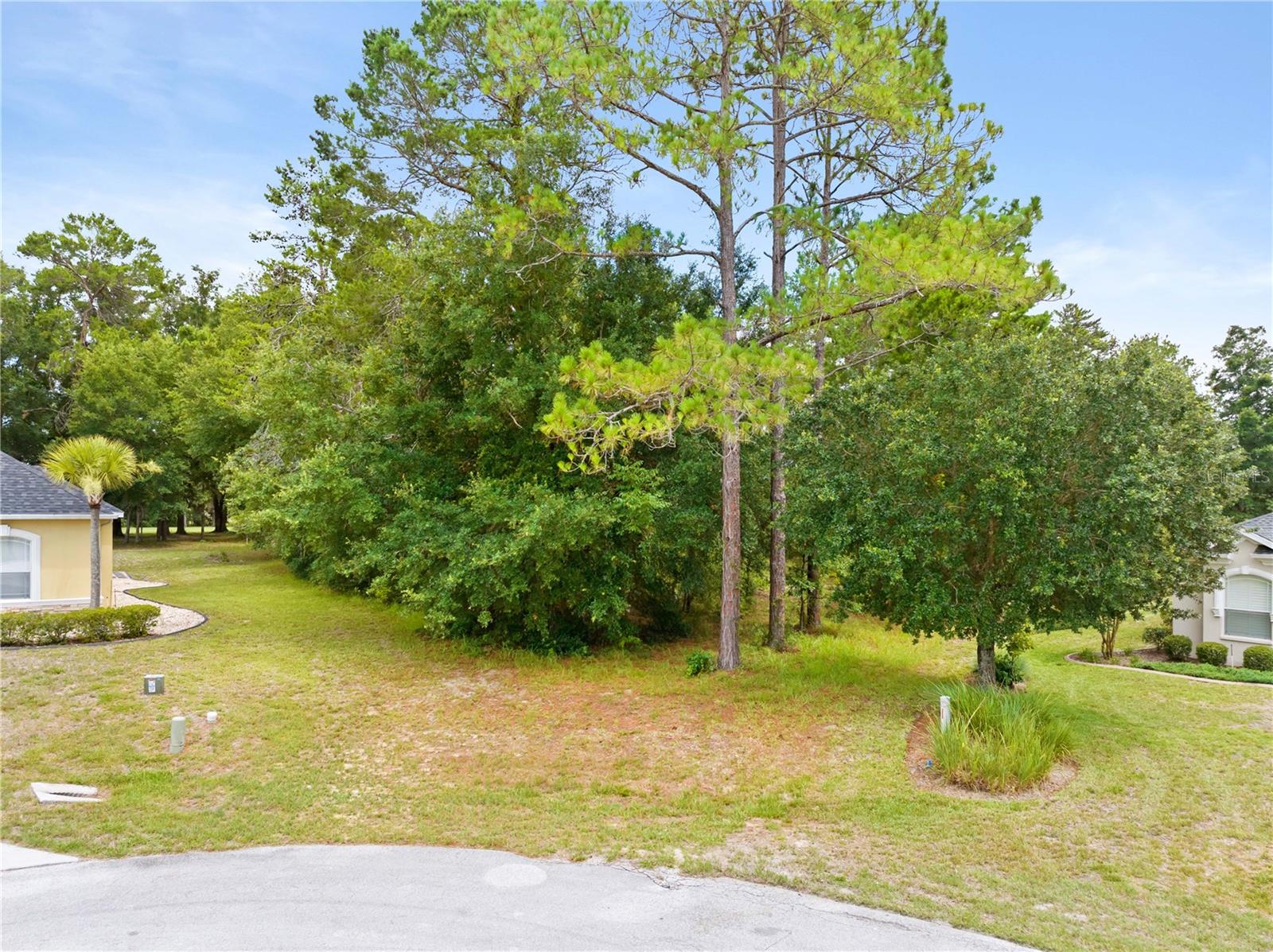 Photo of 17 WOODLEE COURT HOMOSASSA FL 34446