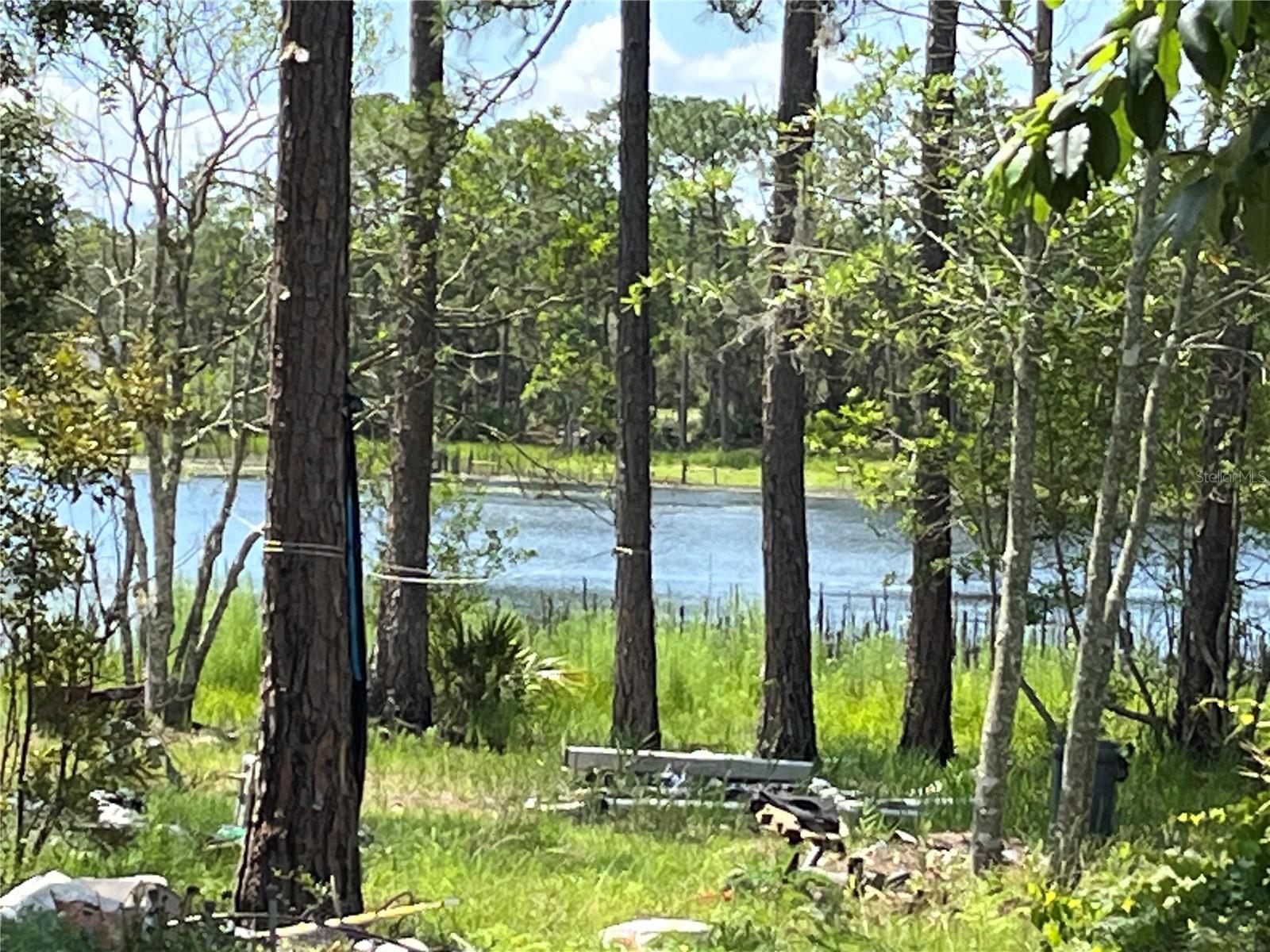 Photo of 42334 W LAKE ROAD DELAND FL 32720