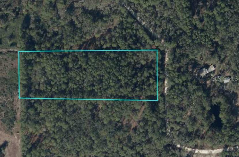Photo of TBD SE 91ST TRAIL TRENTON FL 32693