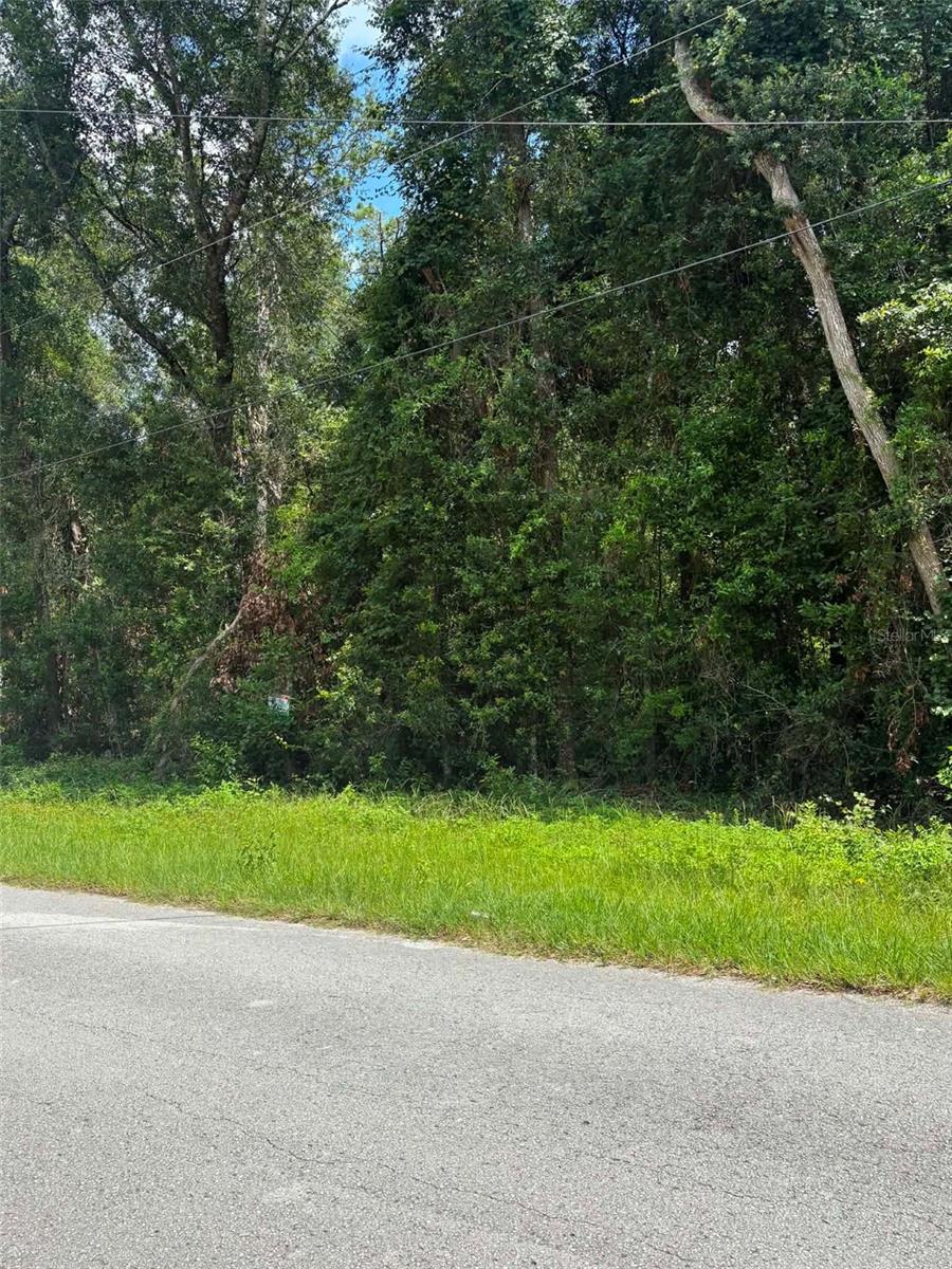 Photo of 0000 NW 166TH STREET TRENTON FL 32693