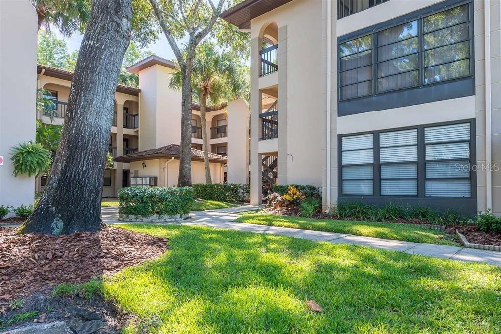 Photo of 3399 MERMOOR DRIVE #206 PALM HARBOR FL 34685