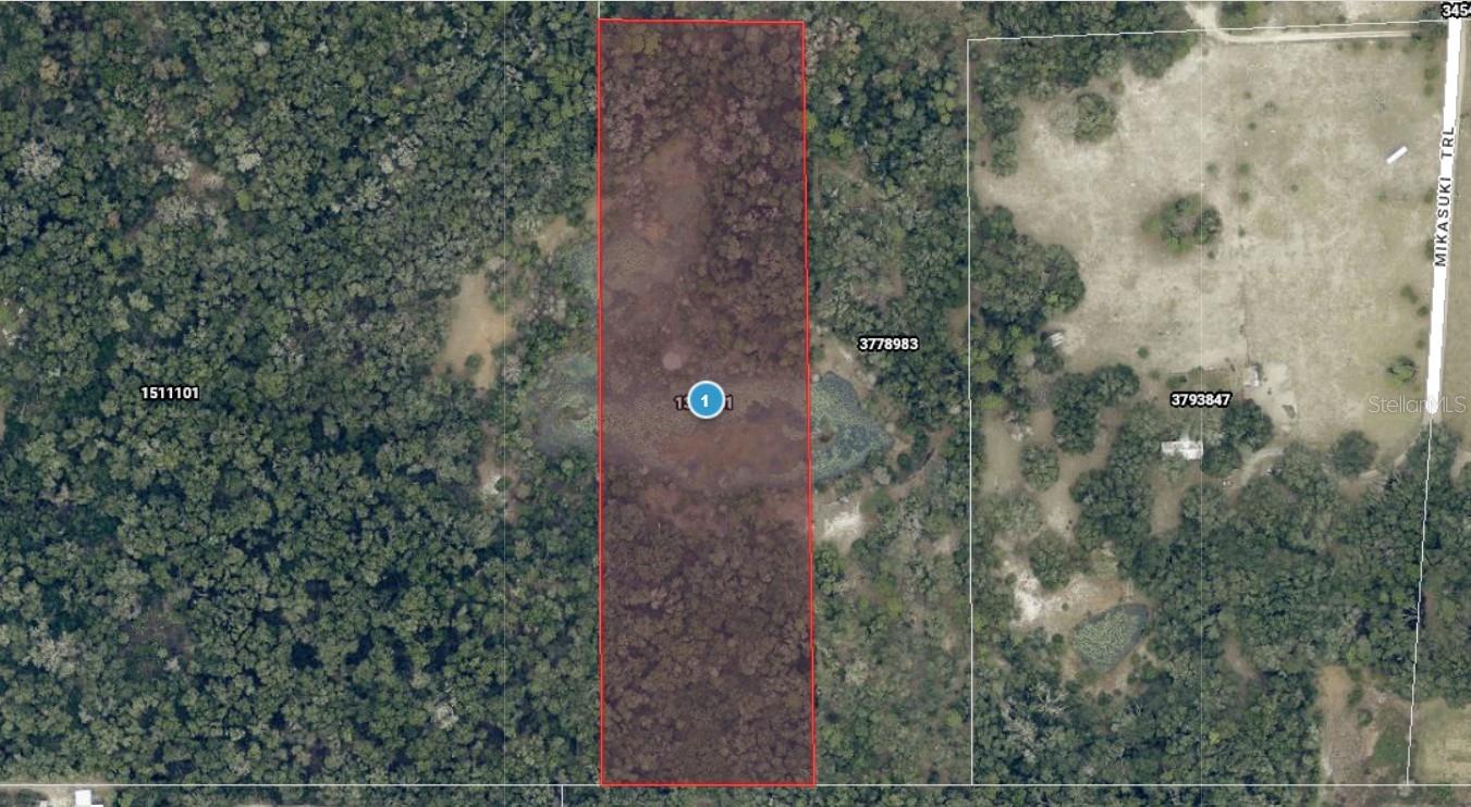 Photo of MIKASUKI TRAIL PAISLEY FL 32767