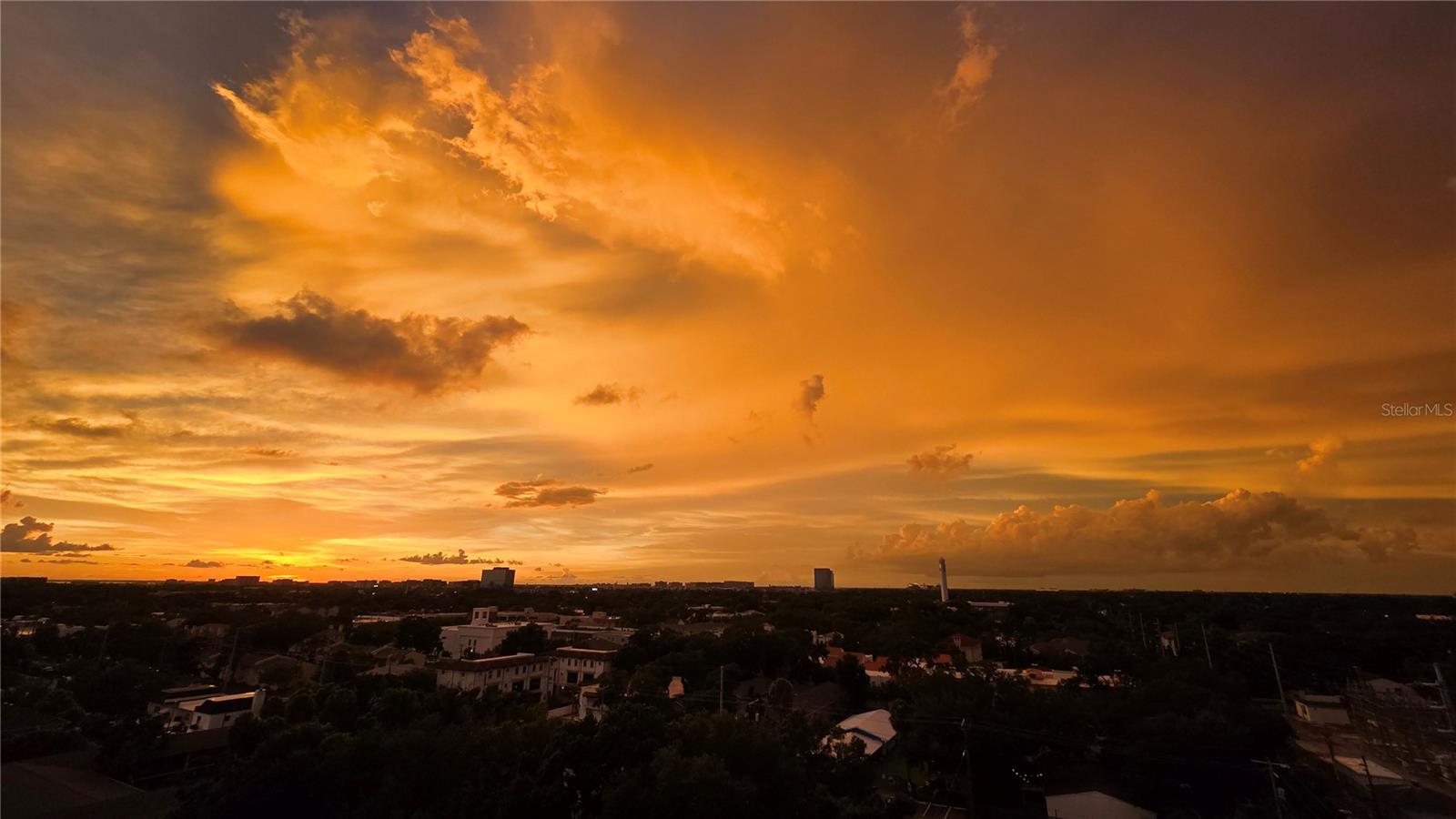 Photo of 3211 W SWANN AVENUE #1110 TAMPA FL 33609