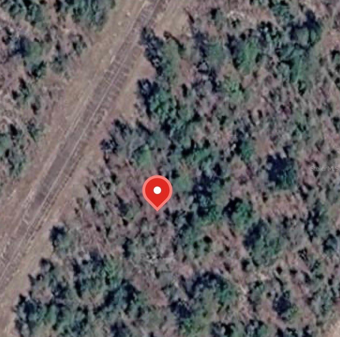 Photo of LYNNHAVEN LANE CHIPLEY FL 32428