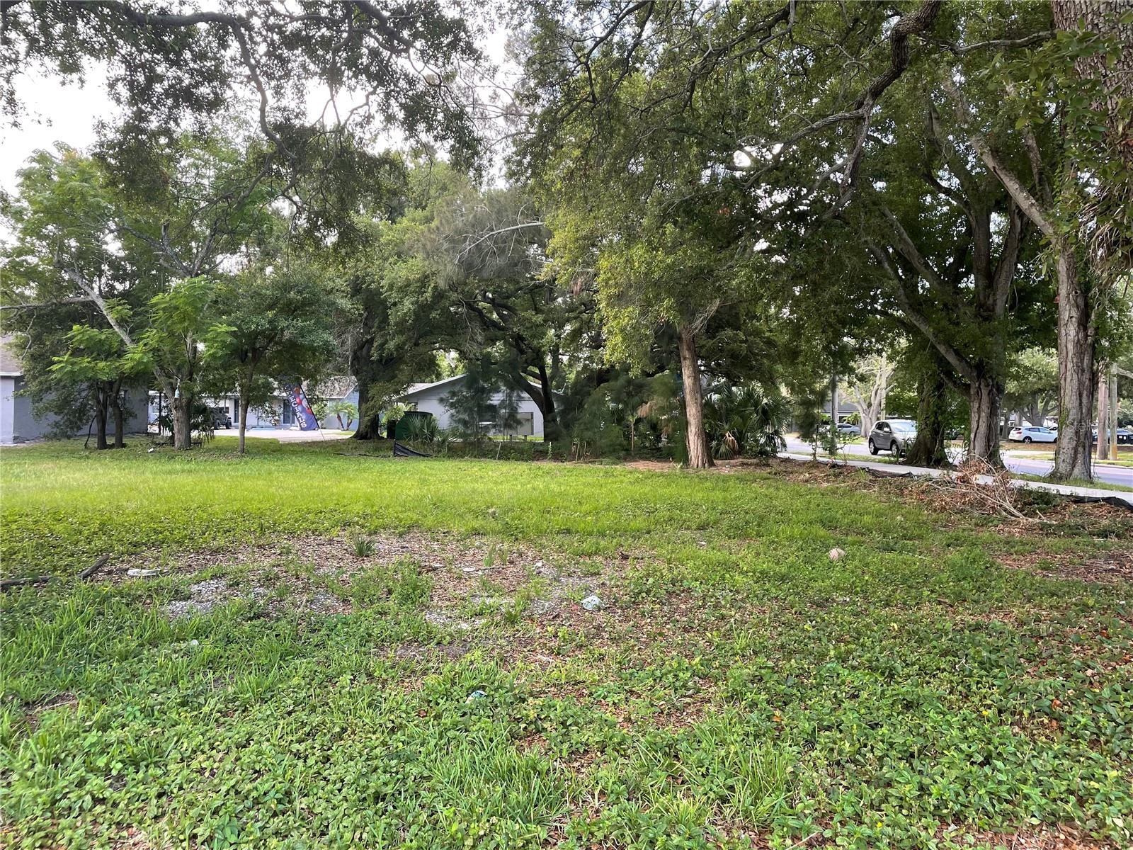 Photo of PINELLAS STREET CLEARWATER FL 33756