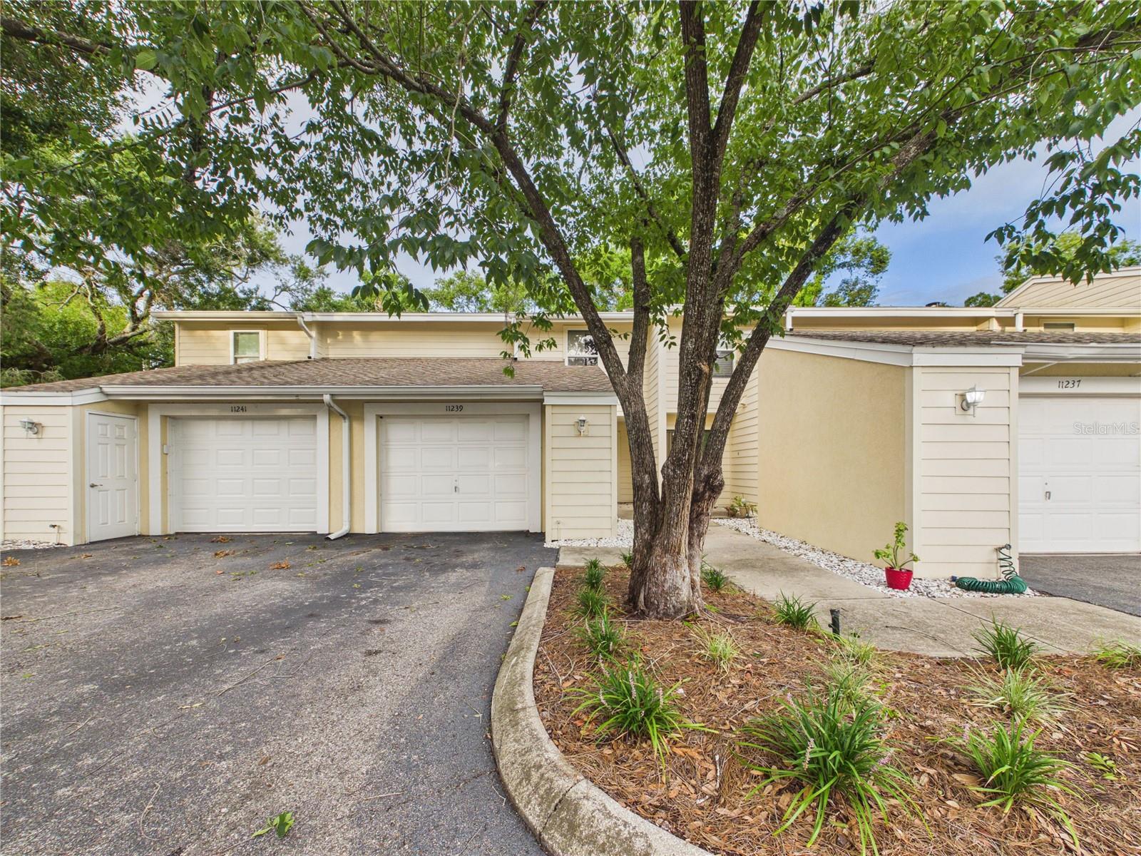 Photo of 11239 CEDAR HOLLOW LANE TAMPA FL 33618