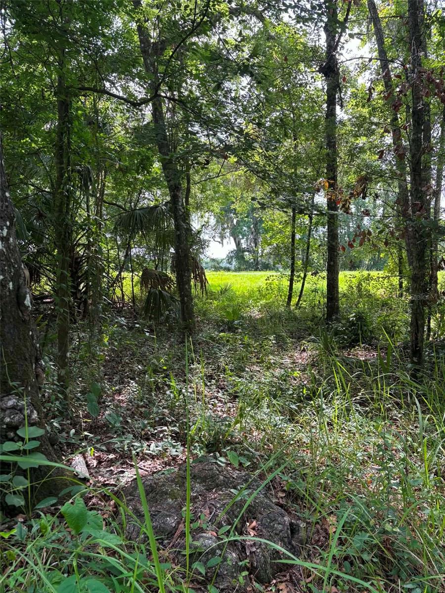 Photo of 12168 PONCE DE LEON BOULEVARD BROOKSVILLE FL 34601
