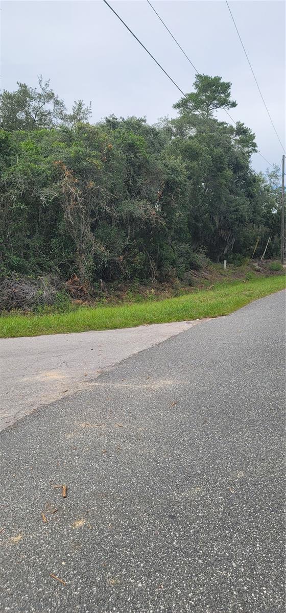 Photo of Lot 15 OLIVE WAY OCALA FL 34472