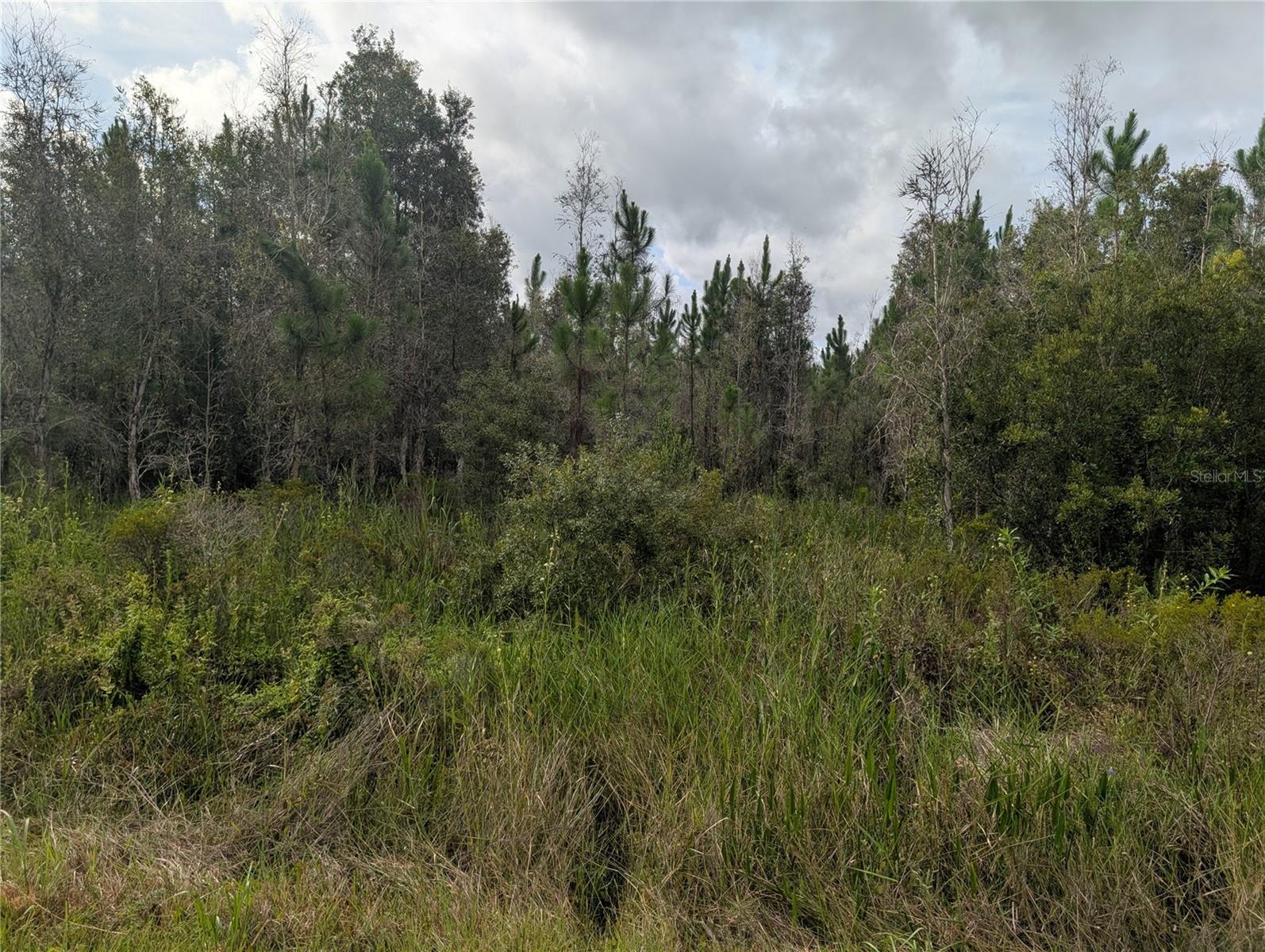 Photo of MEADOWLARK BOULEVARD INDIAN LAKE ESTATES FL 33855