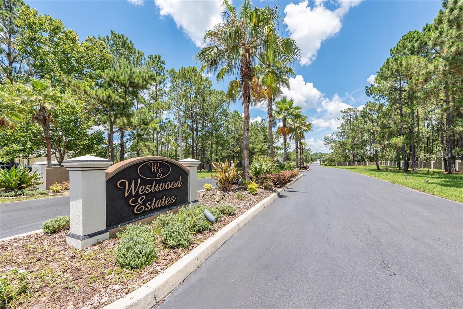 Photo of 8616 SPRING FOREST LANE WESLEY CHAPEL FL 33544