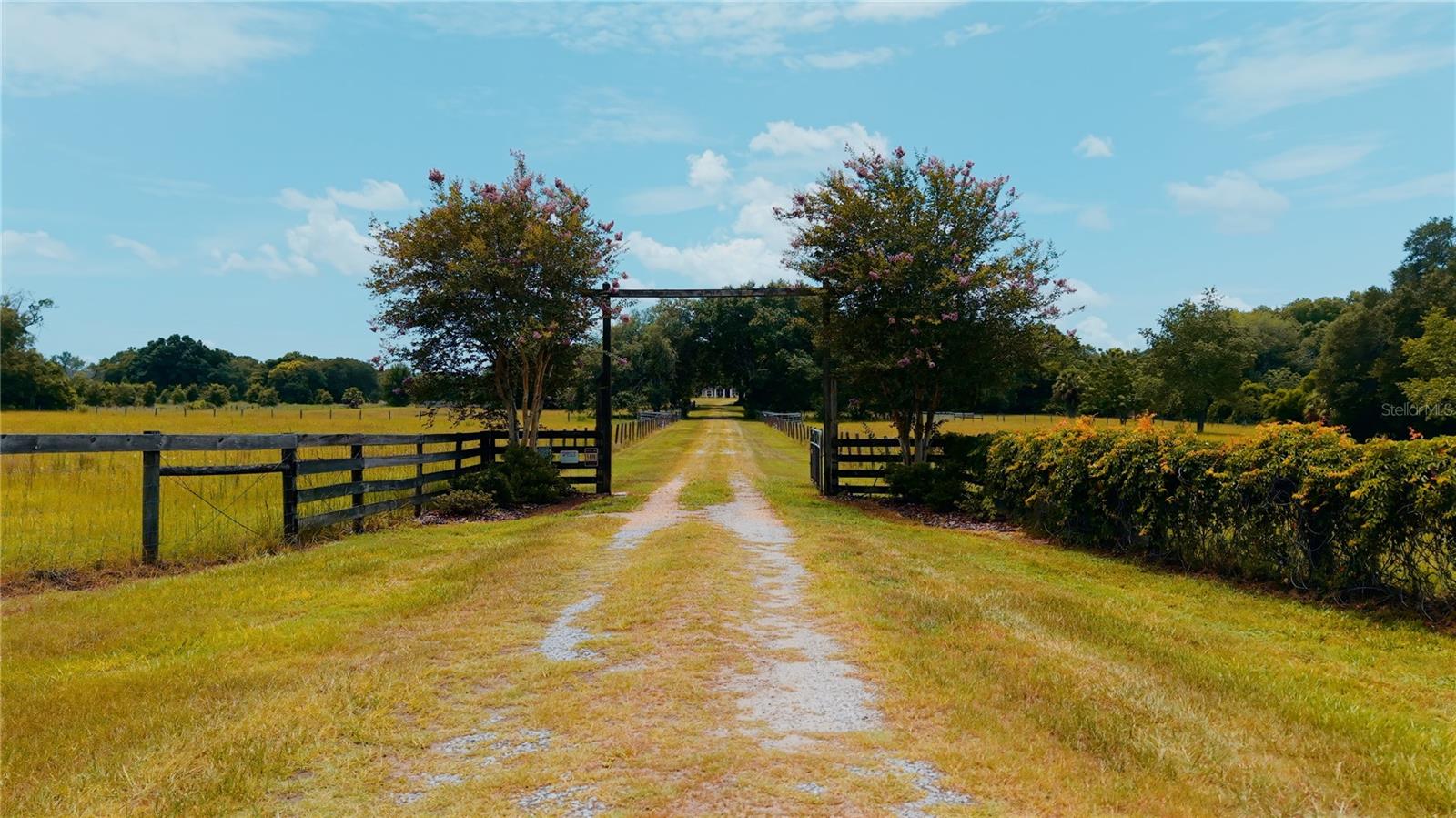 Photo of 21341 HORSE RANCH ROAD MOUNT DORA FL 32757