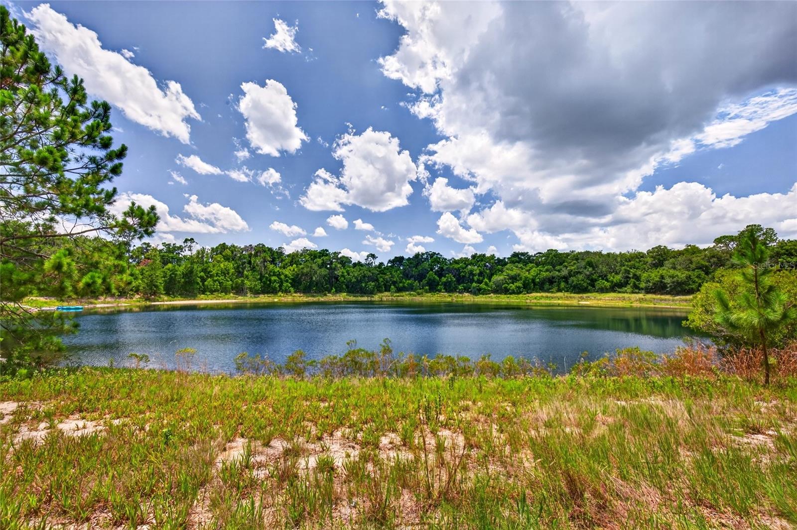 Photo of MALAUKA LOOP OCKLAWAHA FL 32179