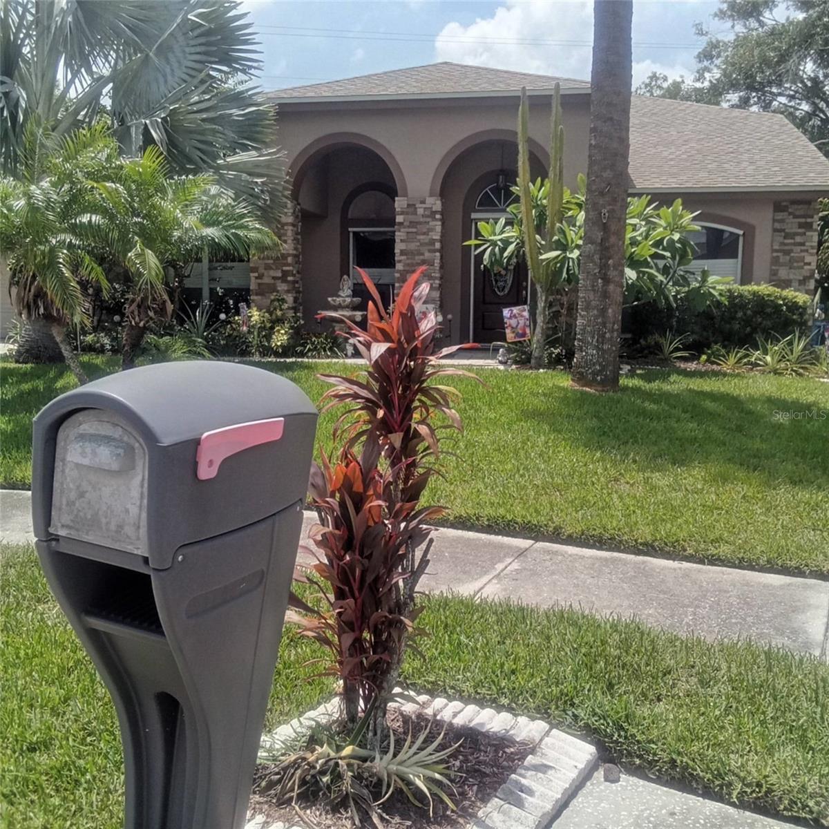 Photo of 15301 MONTREAT WAY TAMPA FL 33625