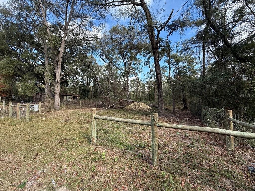 Photo of 255 SE 917 STREET OLD TOWN FL 32680