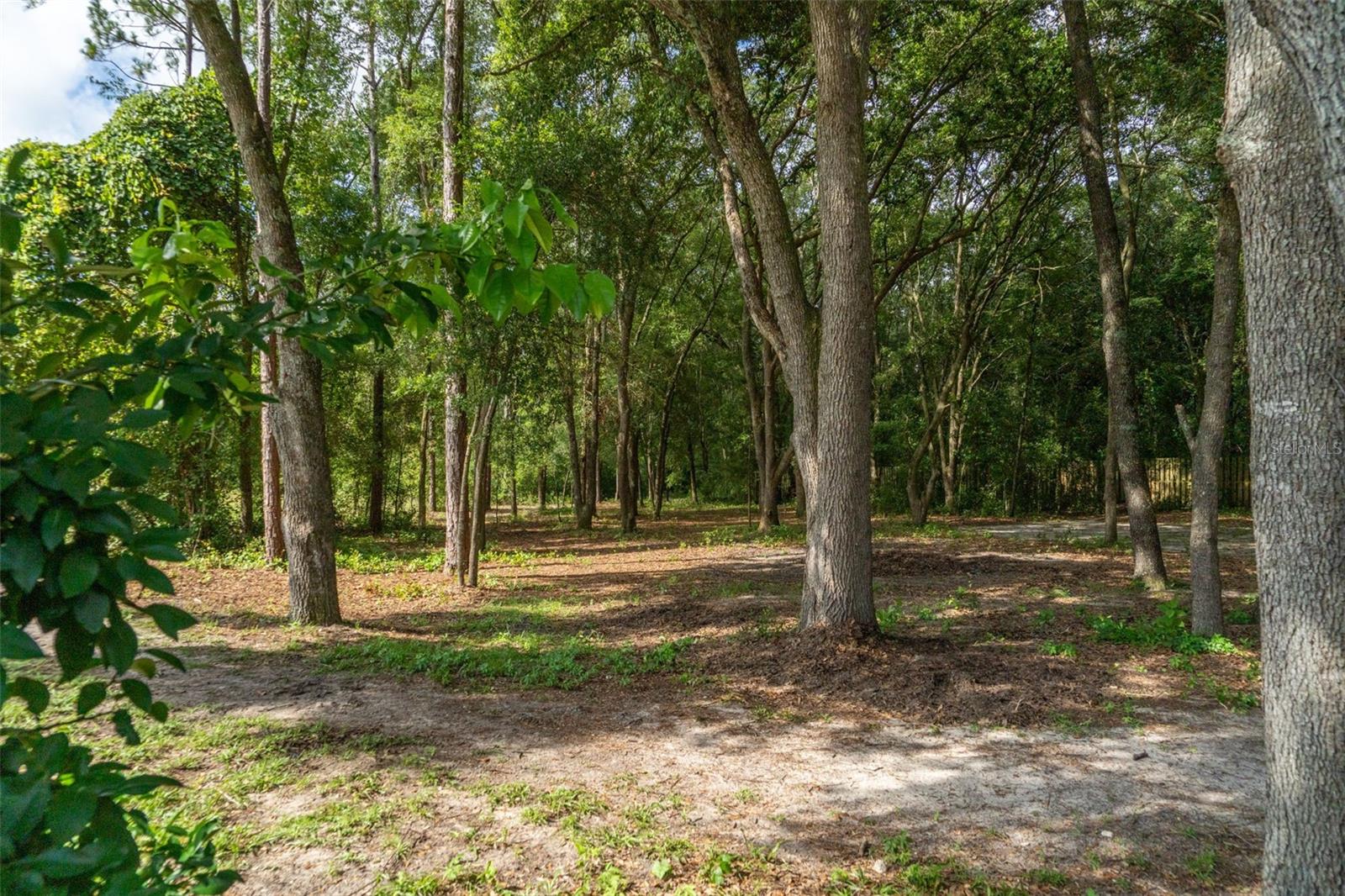 Photo of 40 DEER TRAIL CIRCLE BRONSON FL 32621