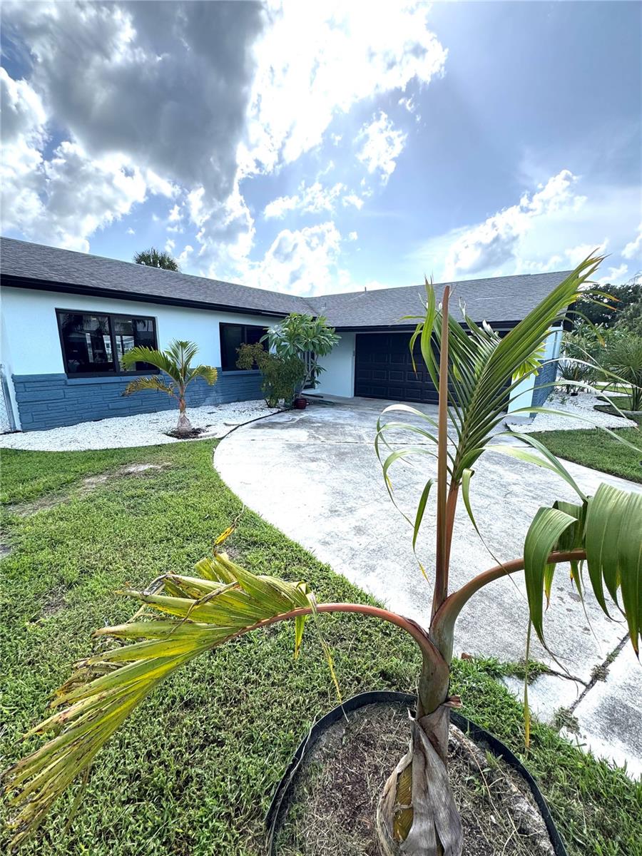 Photo of 10708 DONBRESE AVENUE TAMPA FL 33615