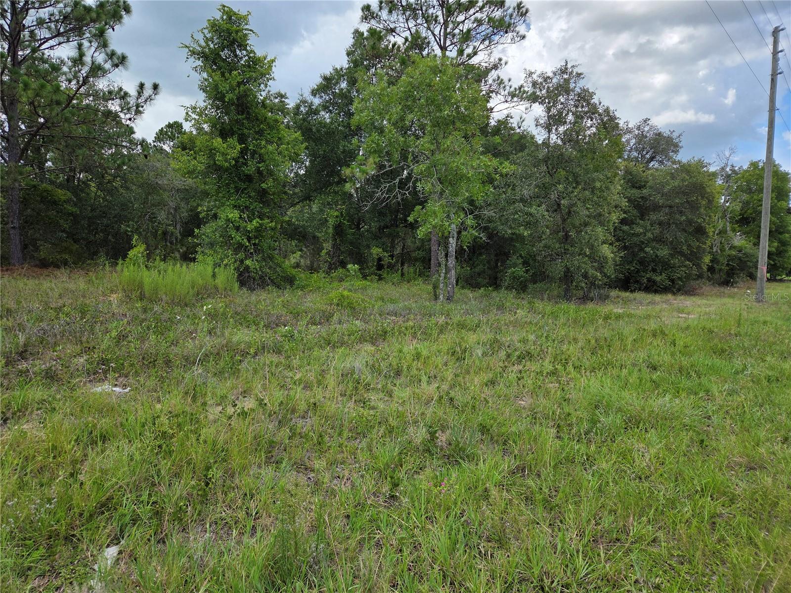 Photo of 0000 SE STATE ROAD 121 WILLISTON FL 32696