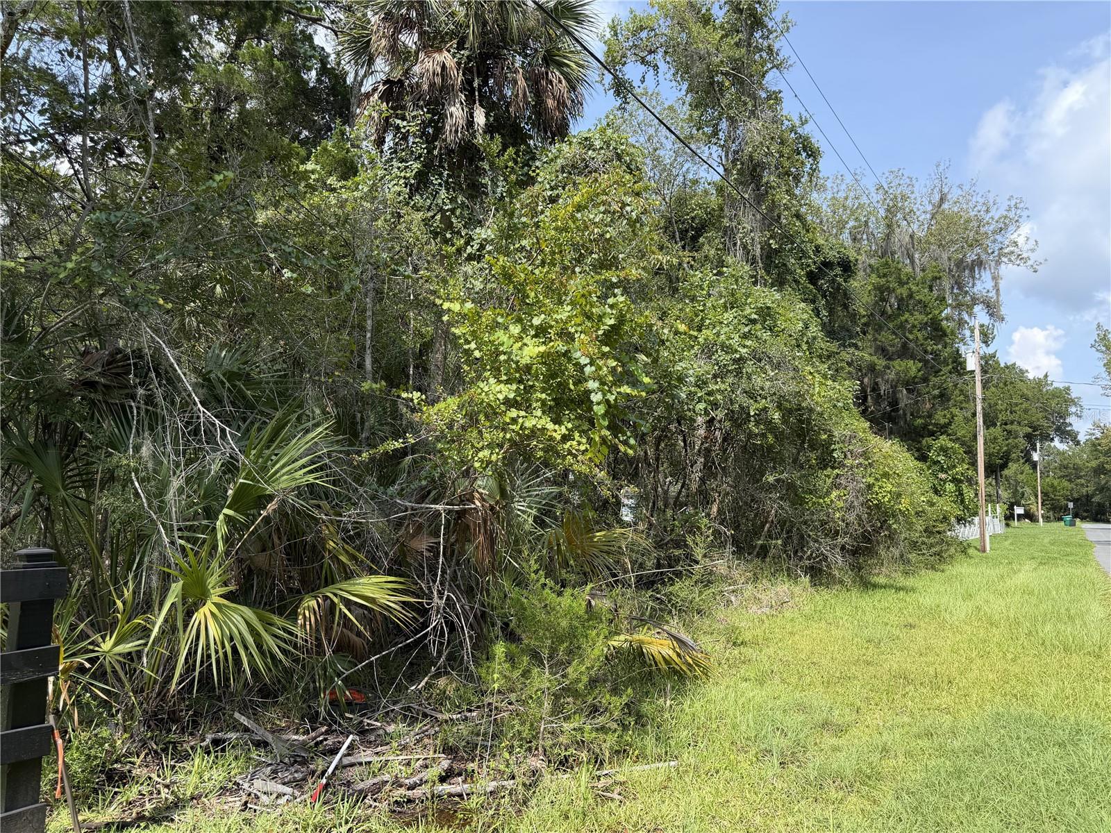 Photo of 10991 W LONDON LANE HOMOSASSA FL 34448