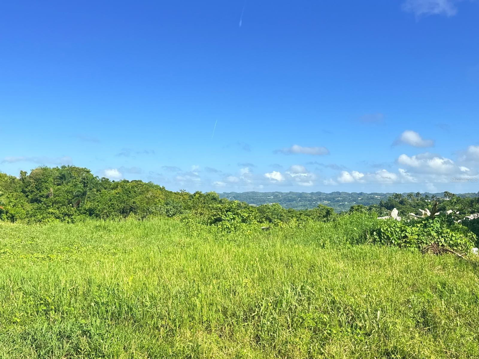 Photo of CARR 119 km 27.9 int BO HOYAMALA SAN SEBASTIAN PR 00685