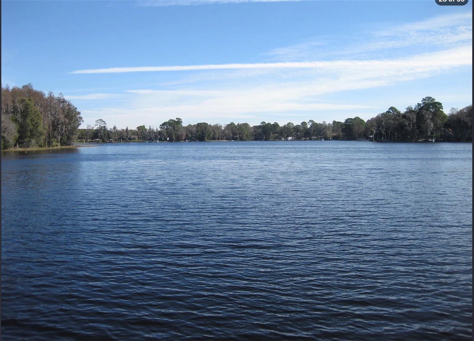 Photo of 18618 WAYNE ROAD ODESSA FL 33556