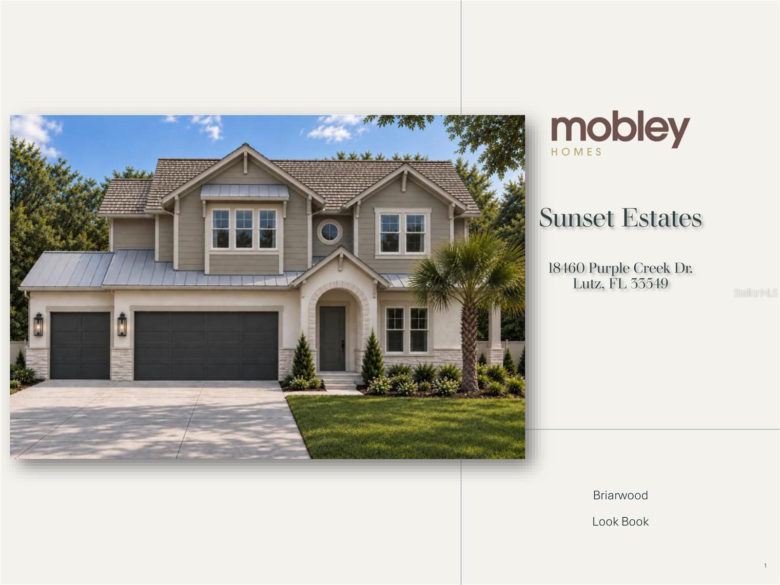 Photo of 18460 PURPLE CREEK LANE LUTZ FL 33549