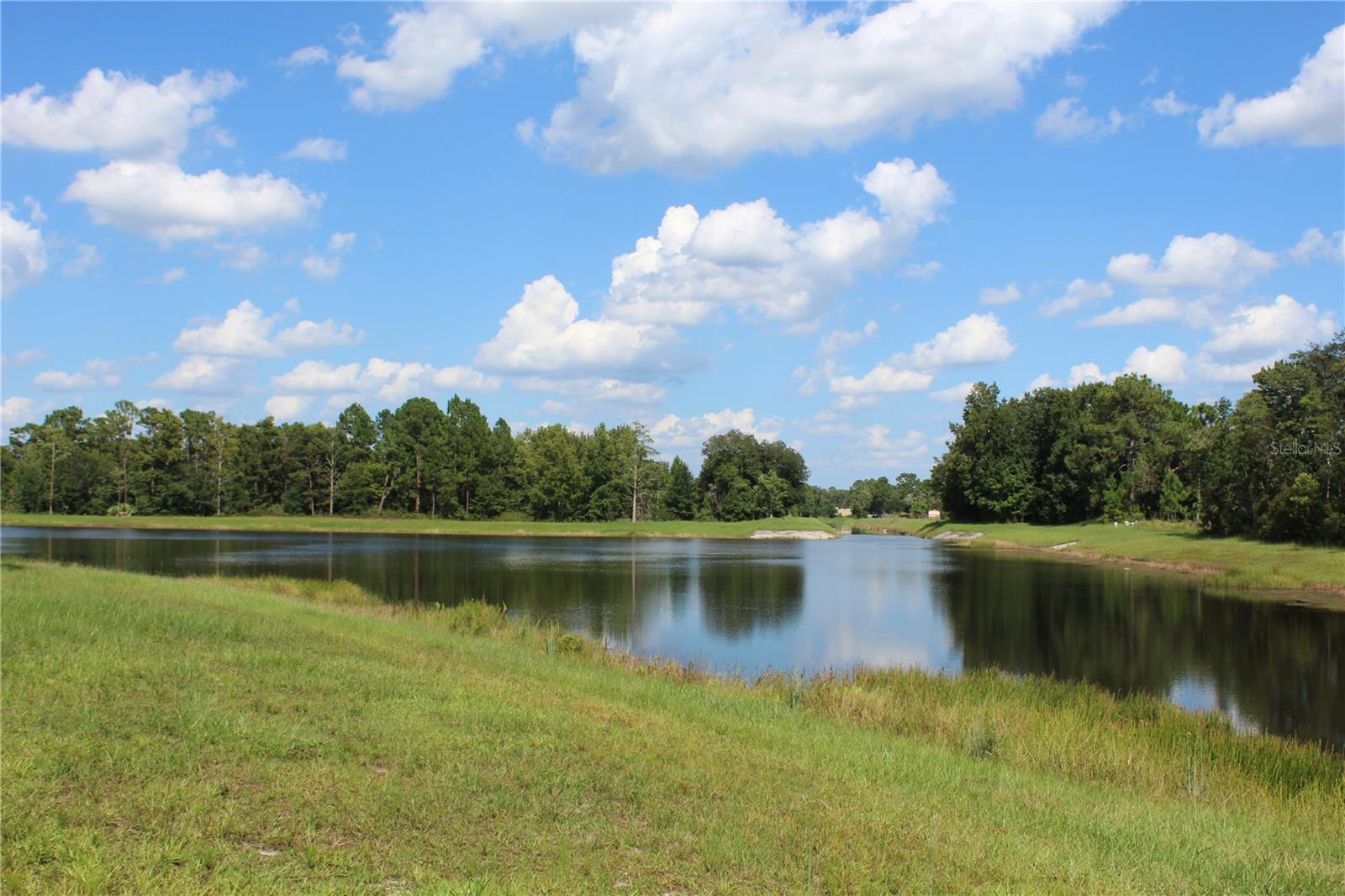 Photo of DOLPHIN CIRCLE ORLANDO FL 32833