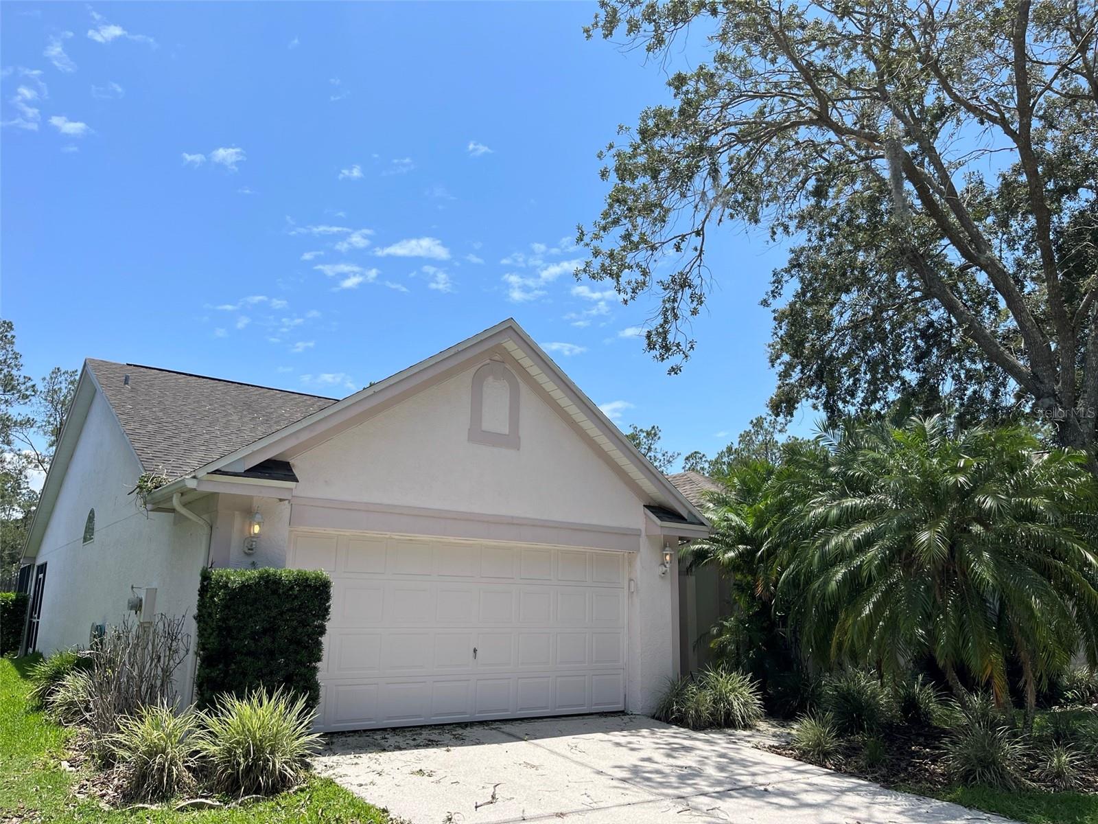 Photo of 9411 WILLOW COVE COURT TAMPA FL 33647