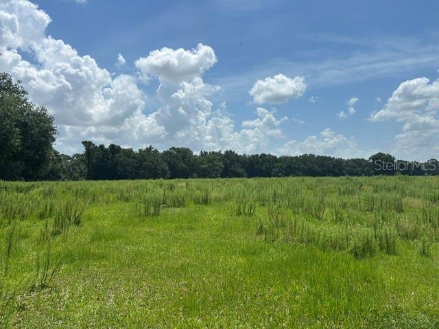 Photo of SE 34TH WAY SUMTERVILLE FL 33585