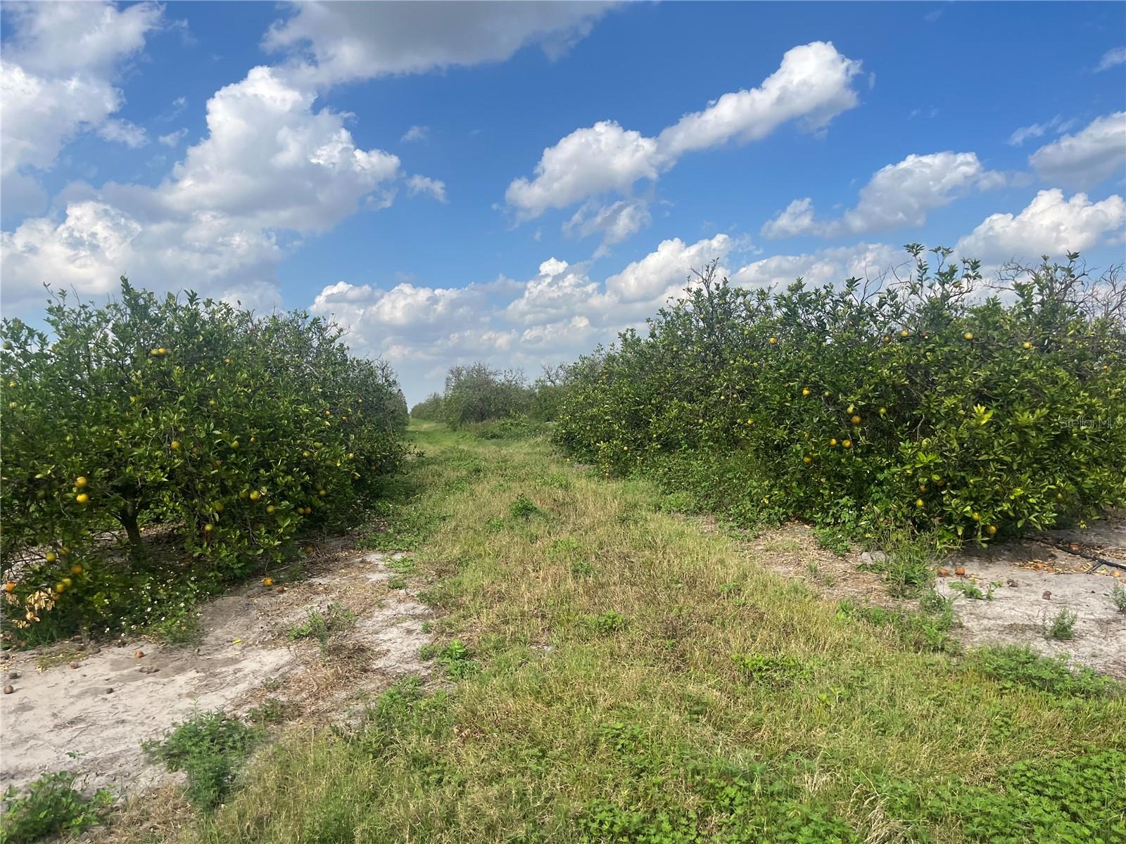 Photo of NE HWY 70 #04-24-04 ARCADIA FL 34266