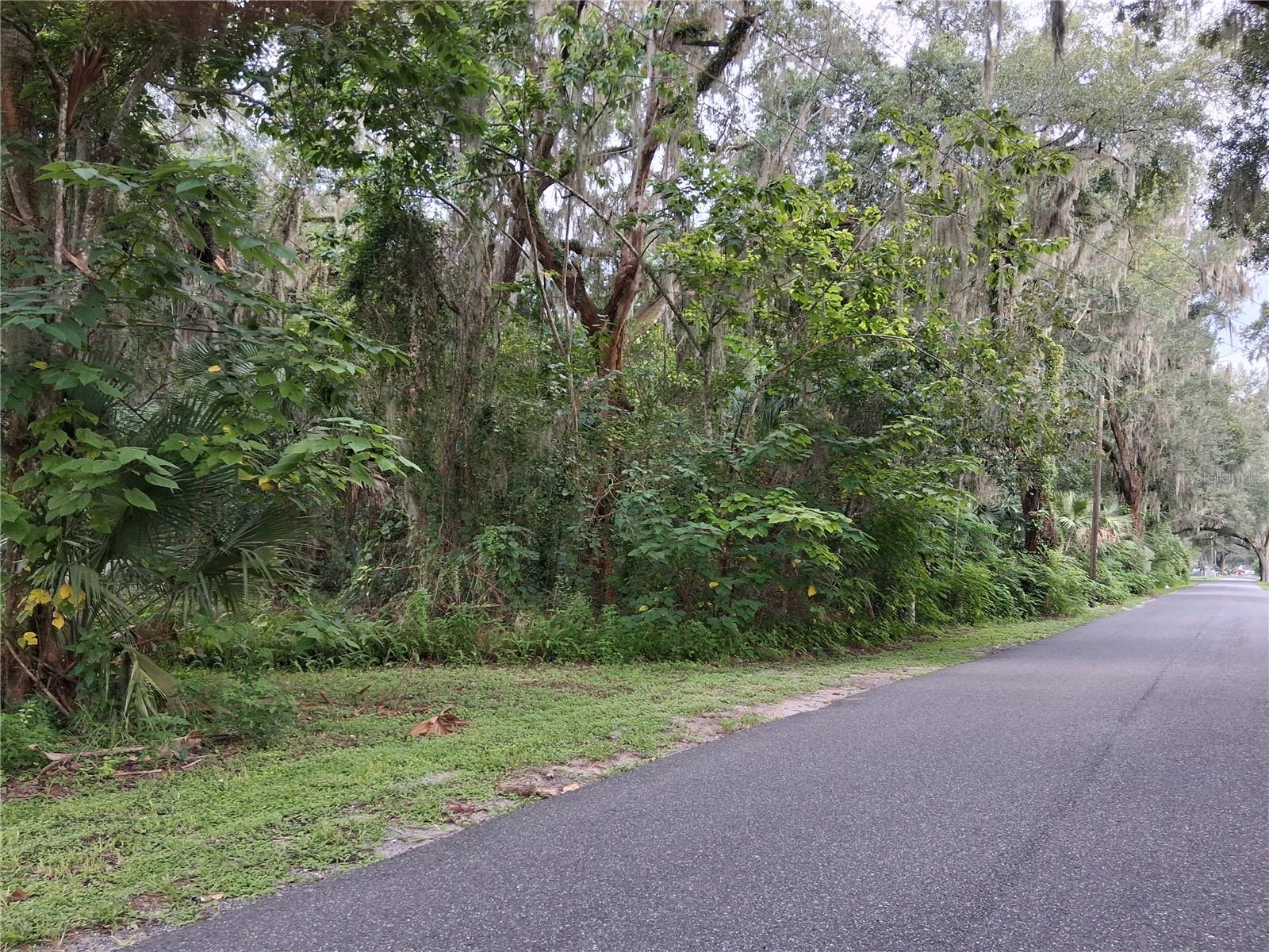 Photo of COUNTY RD 730 WEBSTER FL 33597