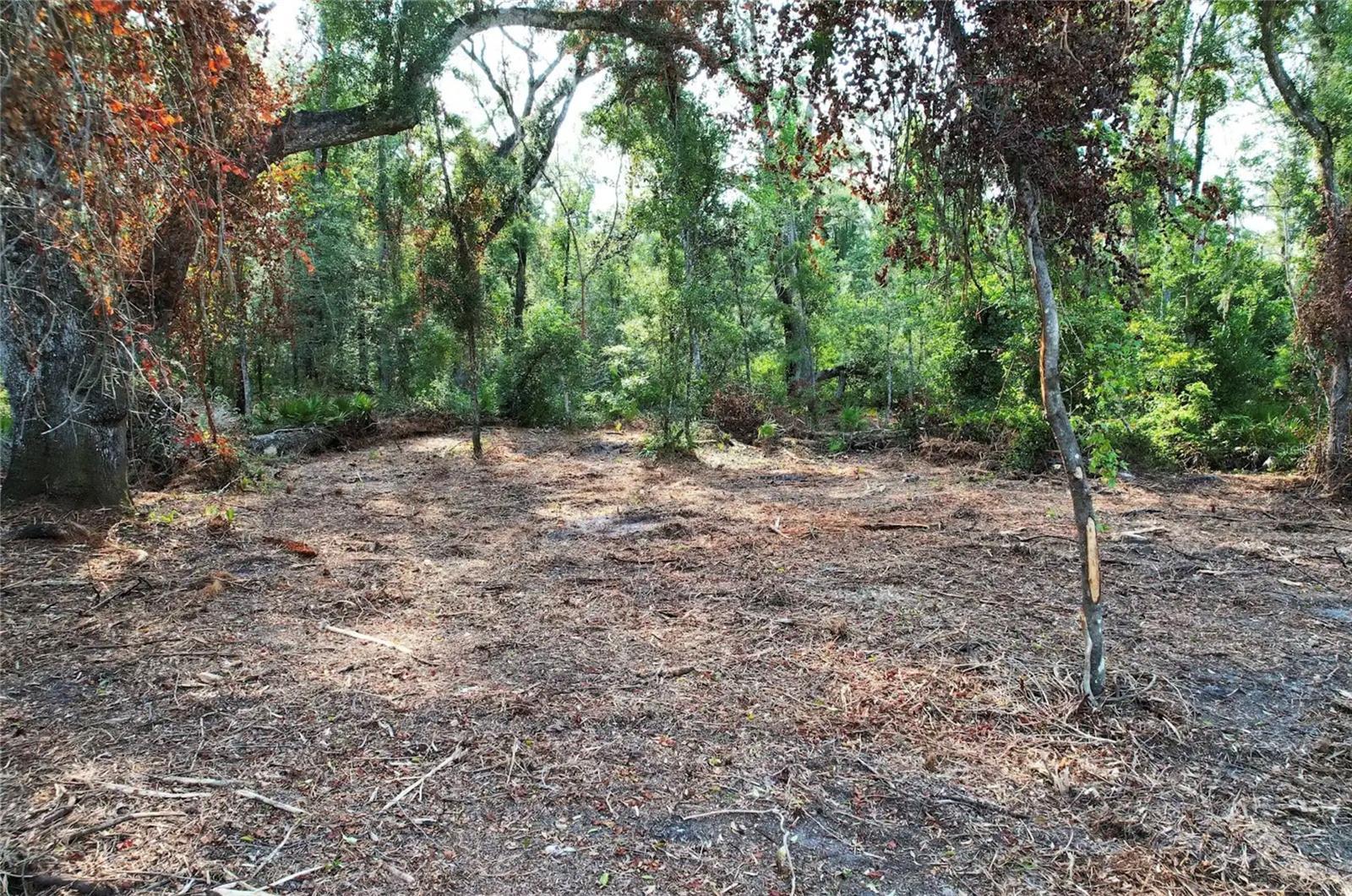 Photo of 1615 NE 497TH STREET OLD TOWN FL 32680