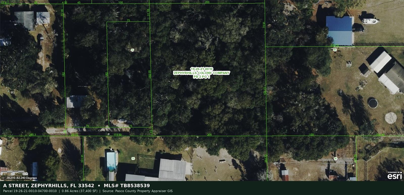 Photo of A STREET ZEPHYRHILLS FL 33542
