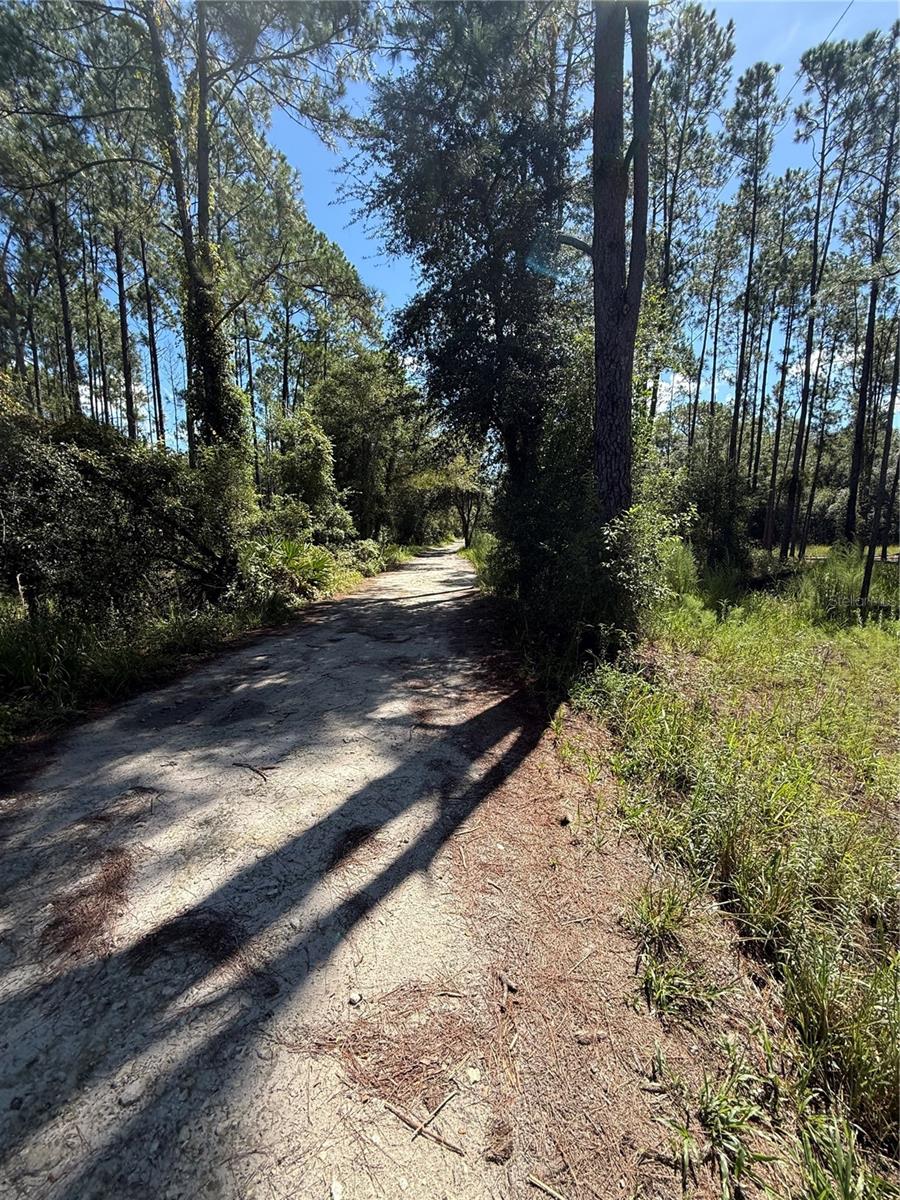 Photo of 0 SW 158 LANE DUNNELLON FL 34432