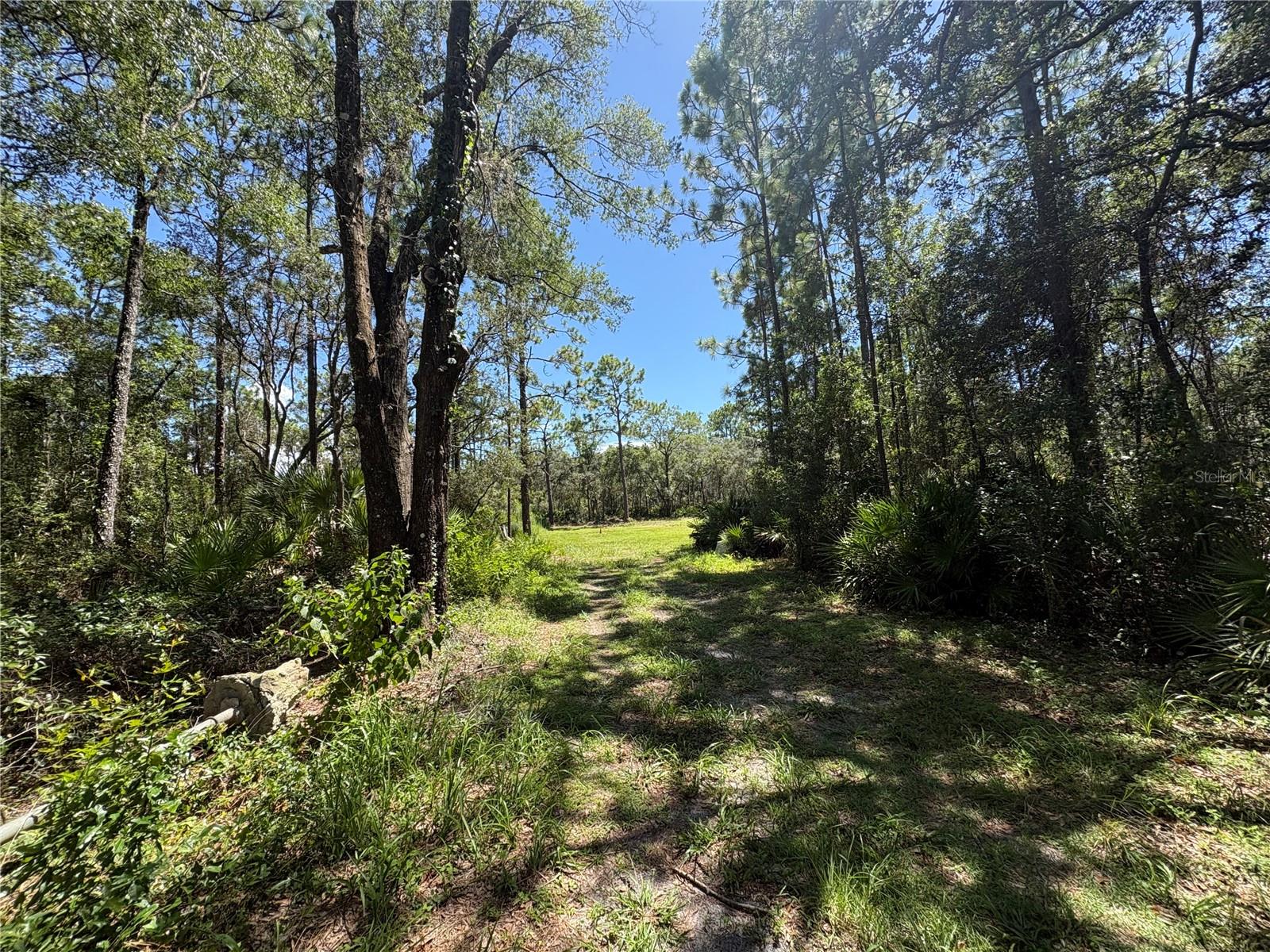 Photo of 394 N FLORENE POINT CRYSTAL RIVER FL 34429