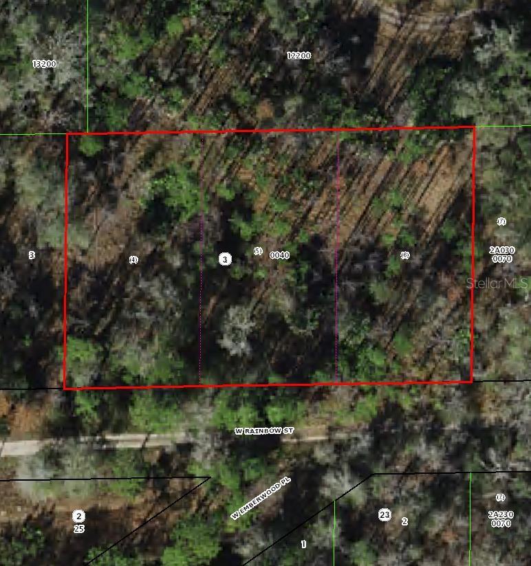 Photo of 7265 W RAINBOW STREET DUNNELLON FL 34433