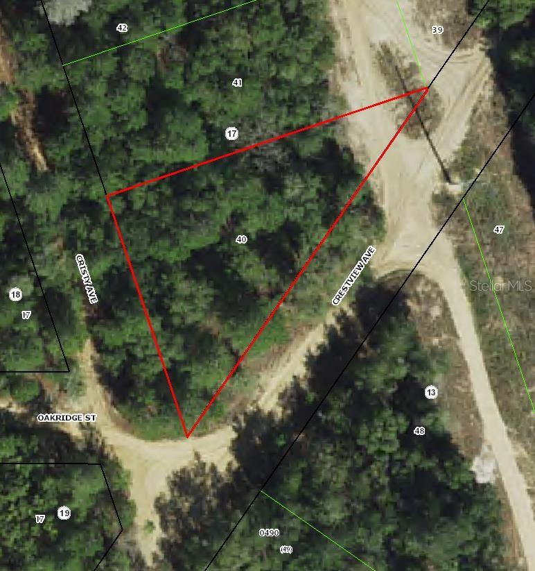 Photo of 112 S CRESTVIEW AVENUE INVERNESS FL 34452