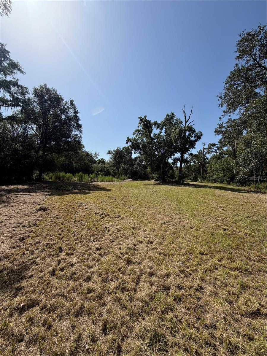 Photo of 8671 SW DEER TRAIL ARCADIA FL 34266