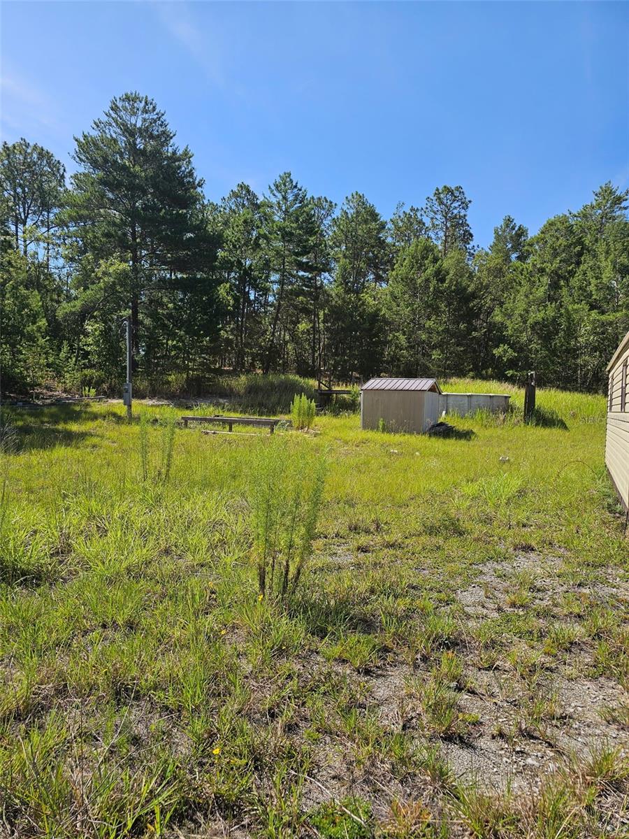 Photo of 14150 E 6TH LANE WILLISTON FL 32696