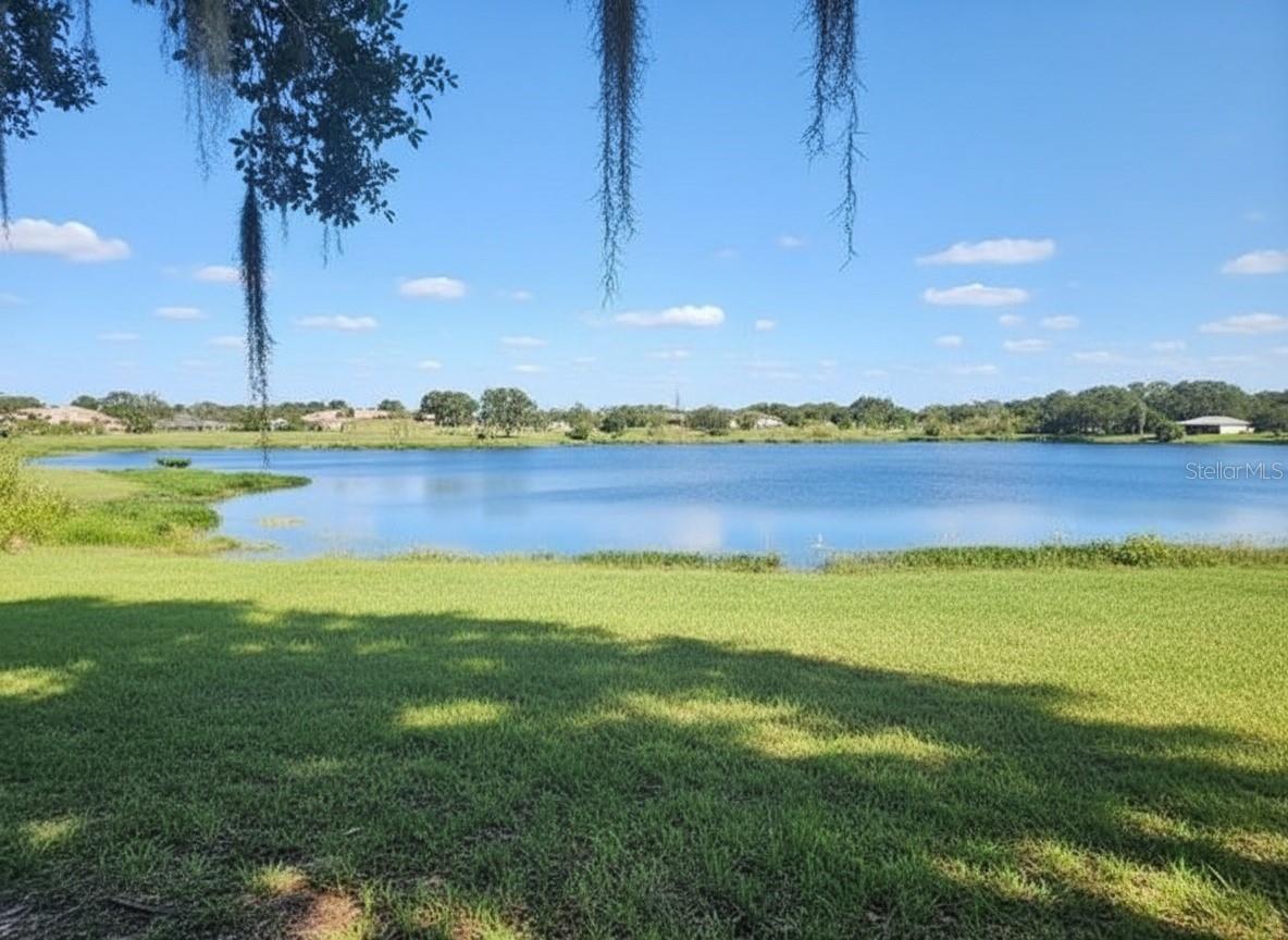 Photo of 14322 LAKE JUNIETTA DRIVE TAVARES FL 32778