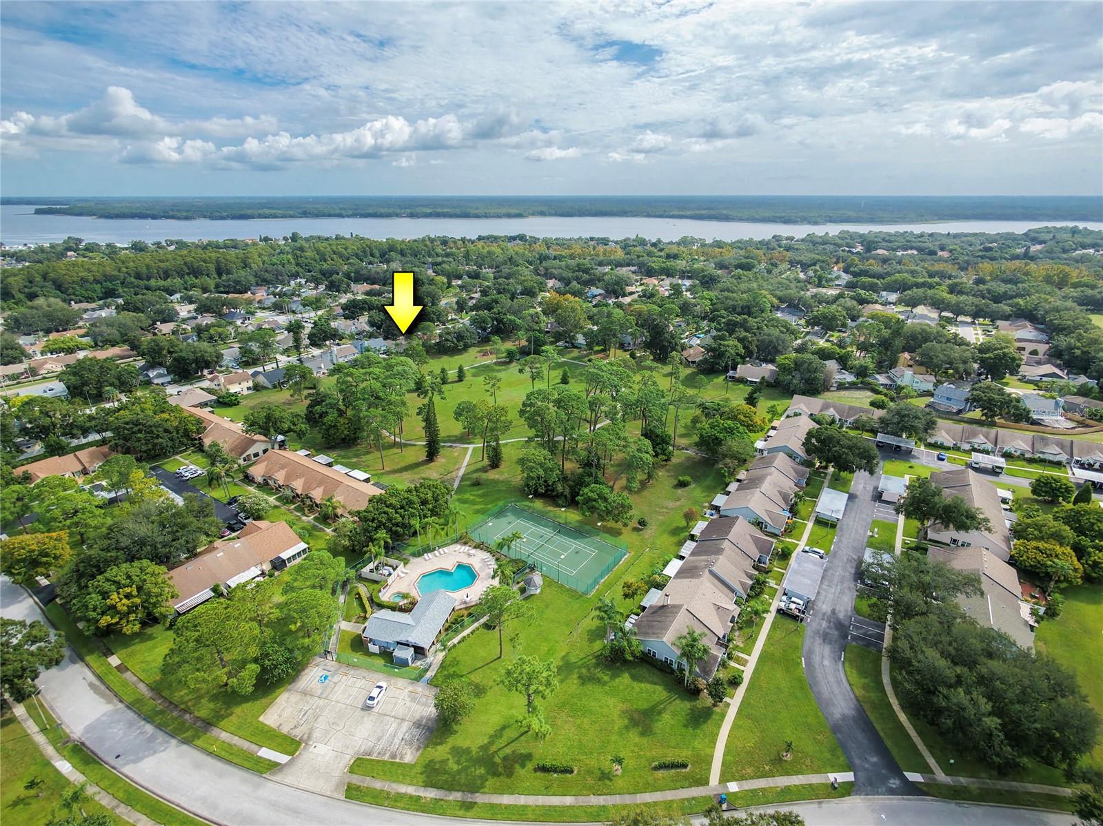 Photo of 3100 PINE FOREST DRIVE PALM HARBOR FL 34684