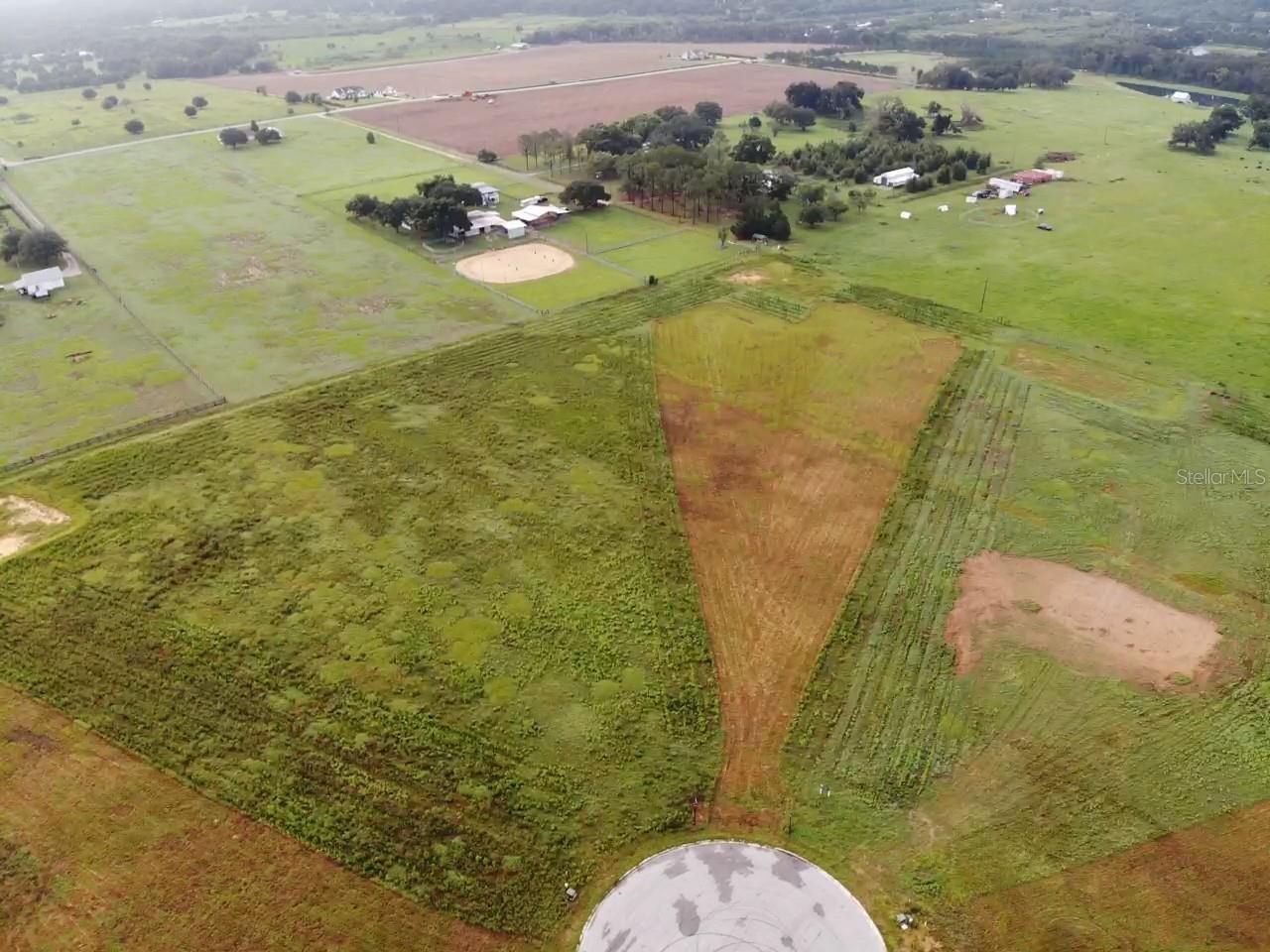Photo of 10011 WHITE EGRET DRIVE THONOTOSASSA FL 33592