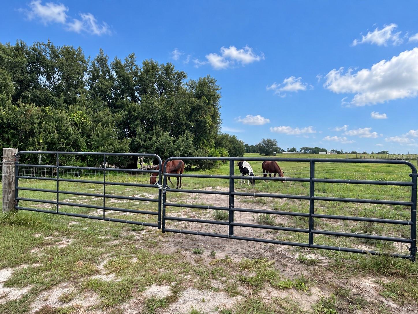 Photo of MAMMOTH GROVE ROAD LAKE WALES FL 33898