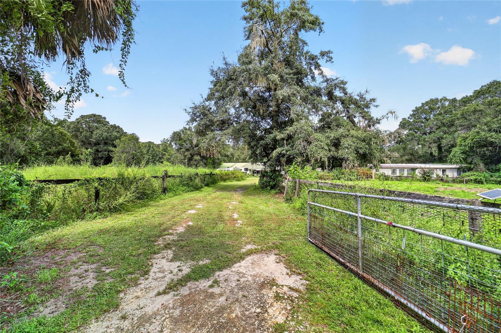 Photo of 10195 NW 160TH STREET REDDICK FL 32686