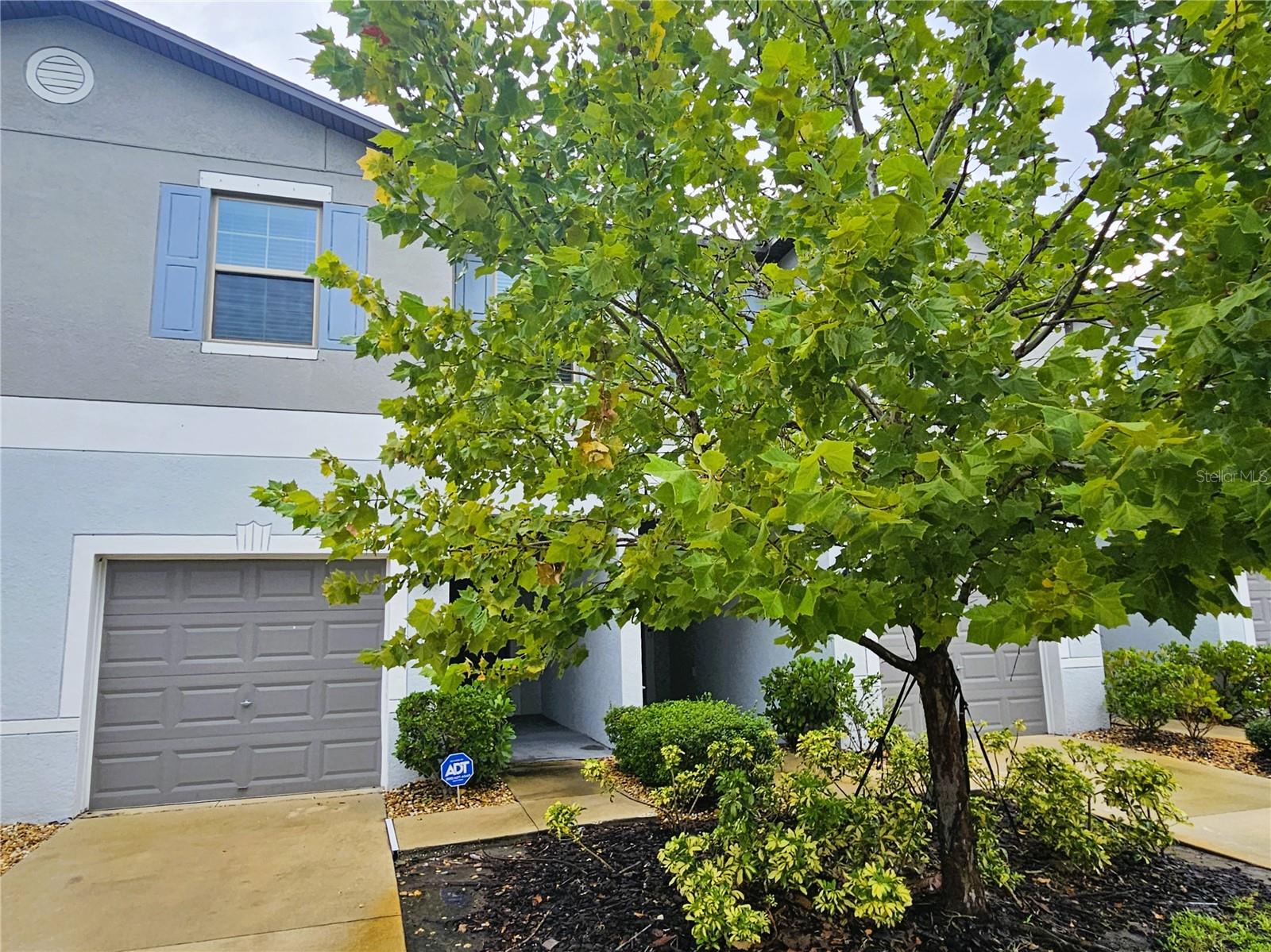 Photo of 13251 DUPREE HILLS PLACE RIVERVIEW FL 33579